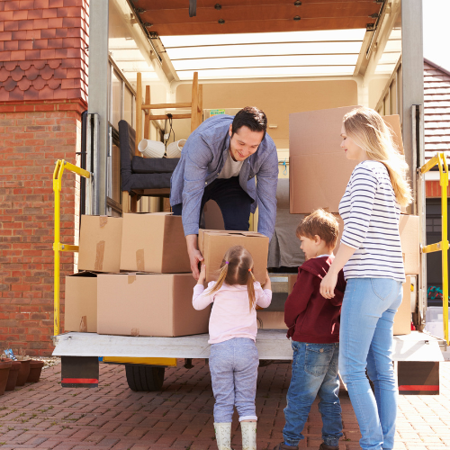 Auckland Furniture Movers