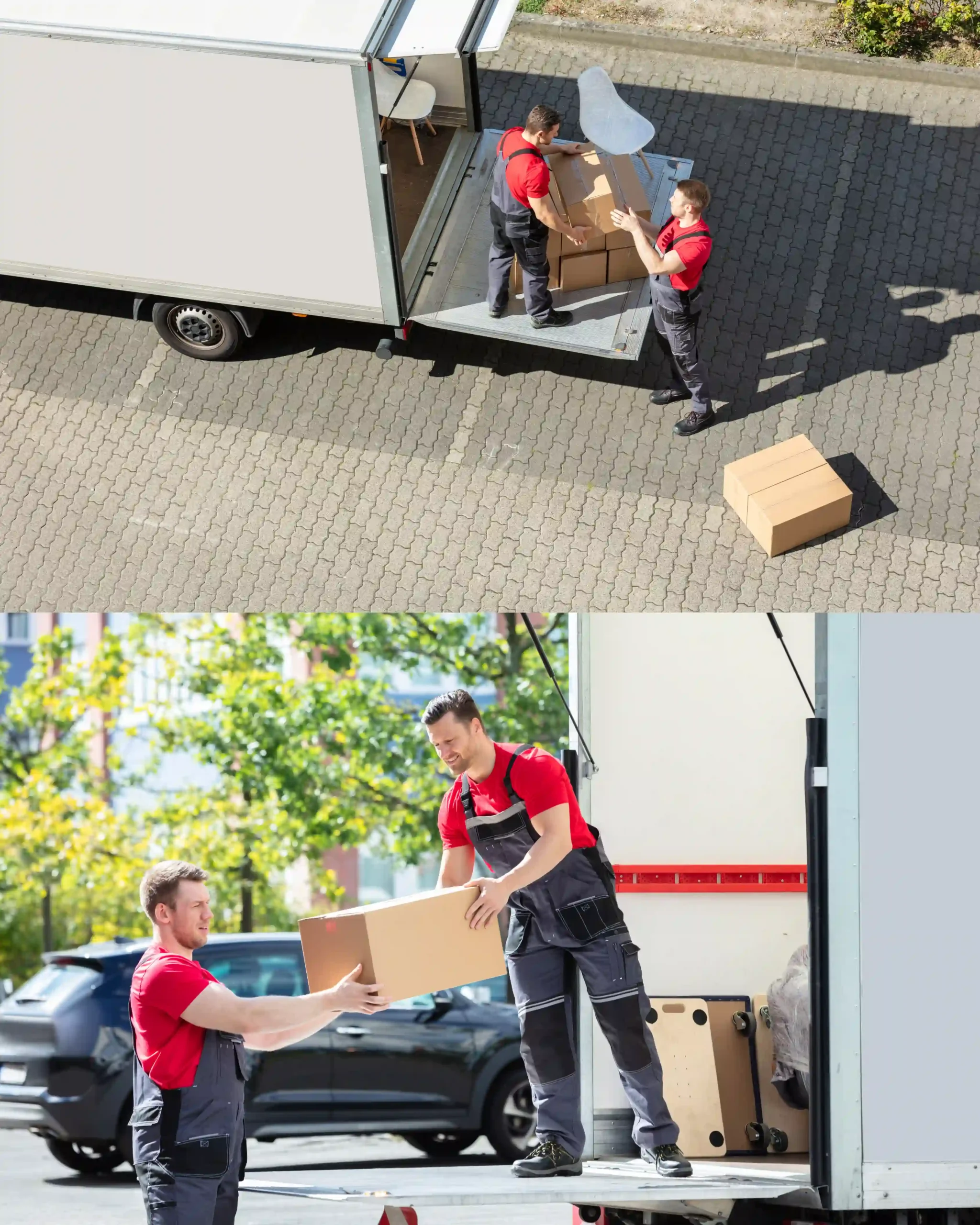Moverly Movers nz