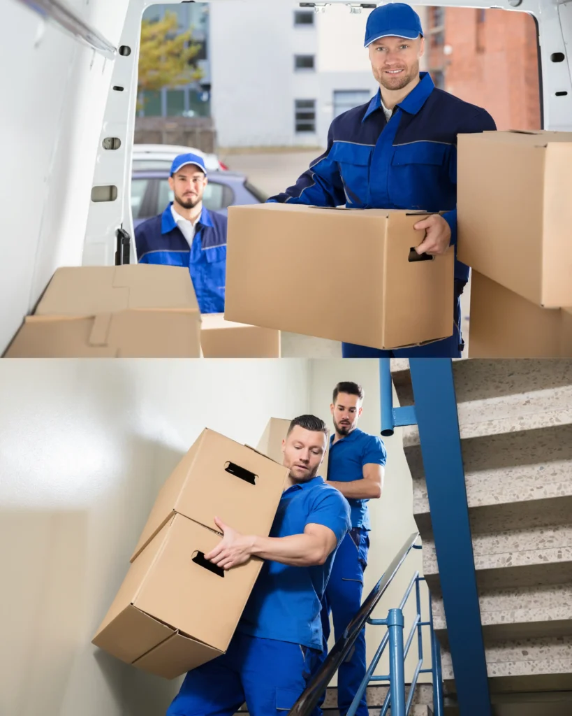 Moverly Movers nz